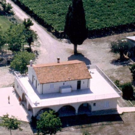 Agriturismo Torre Mannella - La Loggia شيتا سانت أنجيلو المظهر الخارجي الصورة