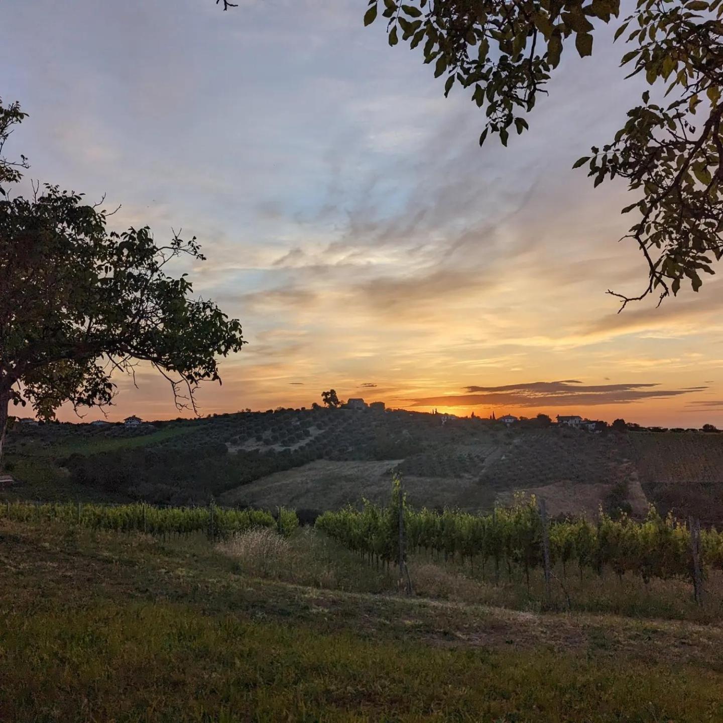 Agriturismo Torre Mannella - La Loggia شيتا سانت أنجيلو المظهر الخارجي الصورة